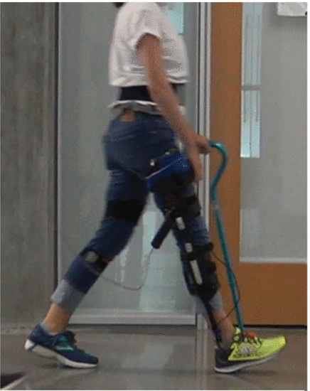 Fig. 5. - Photo of subject 1 walking while using the knee exoskeleton.