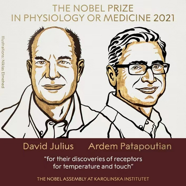 2021年诺贝尔生理学或医学奖揭晓，颁发给温度和触觉<font color="red">感受器</font>领域两名科学家