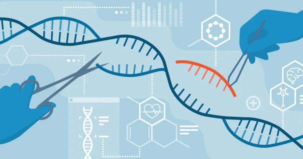 基因编辑的未来遭质疑，因严重安全问题，FDA暂停基于基因编辑的<font color="red">CAR-T</font>临床试验！