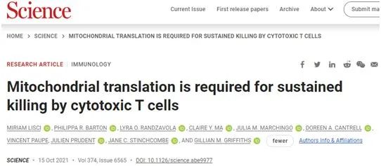 Science：揭示细胞毒性T细胞如何重新装上武器，进行多次的“杀戮”