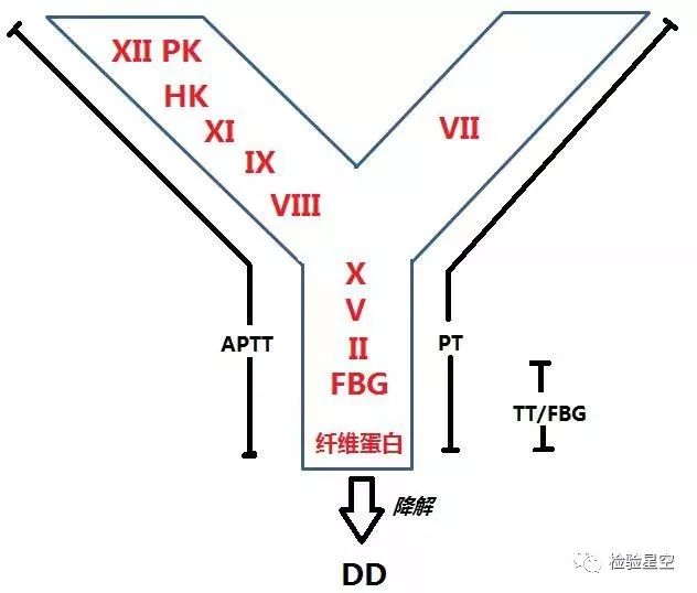 凝血结果分析，8种模式<font color="red">一分钟</font>掌握