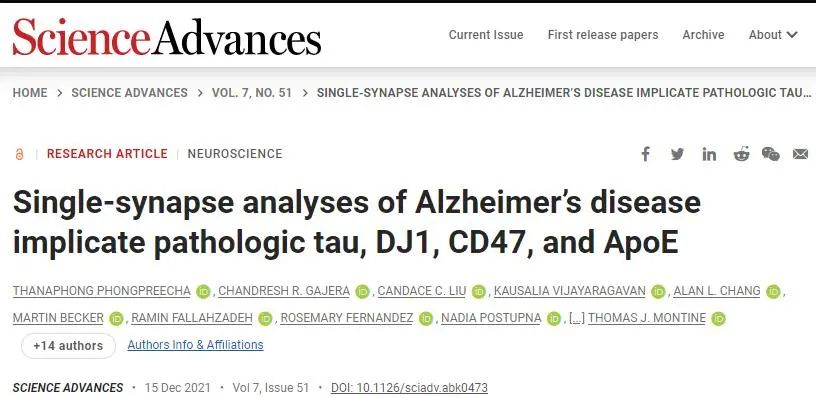 Sci Adv：阿尔茨海默病的单突触分析