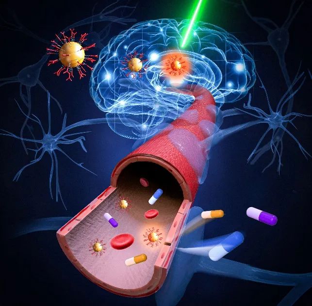 用光打开血脑屏障：脑部给药的新方法