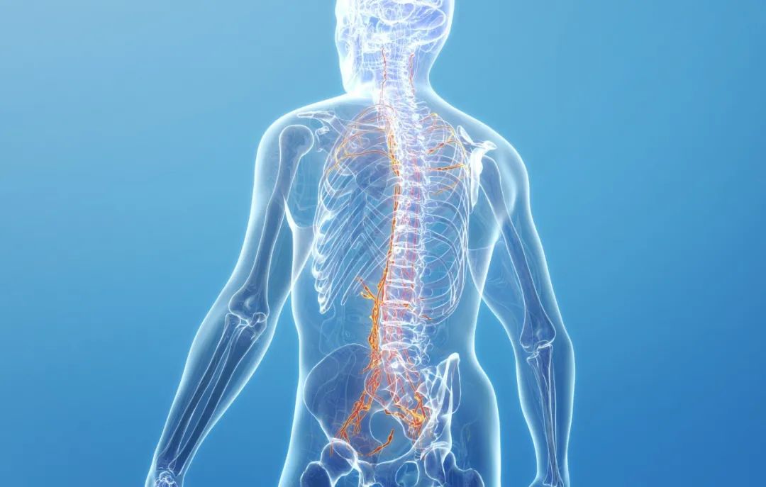 强直性脊柱炎患者 X 线检査到底看的是什么？