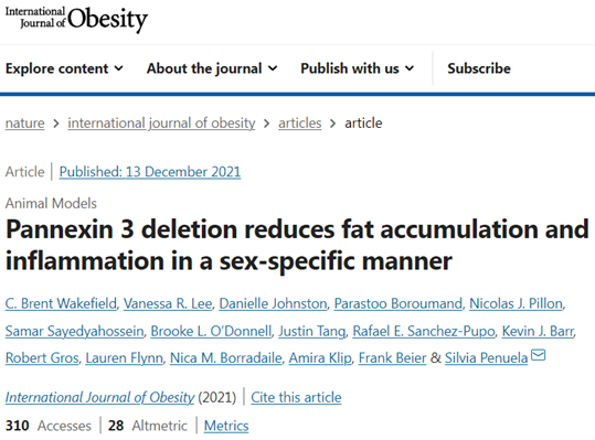 不用<font color="red">运动</font>节食，只需删除肥胖特定基因