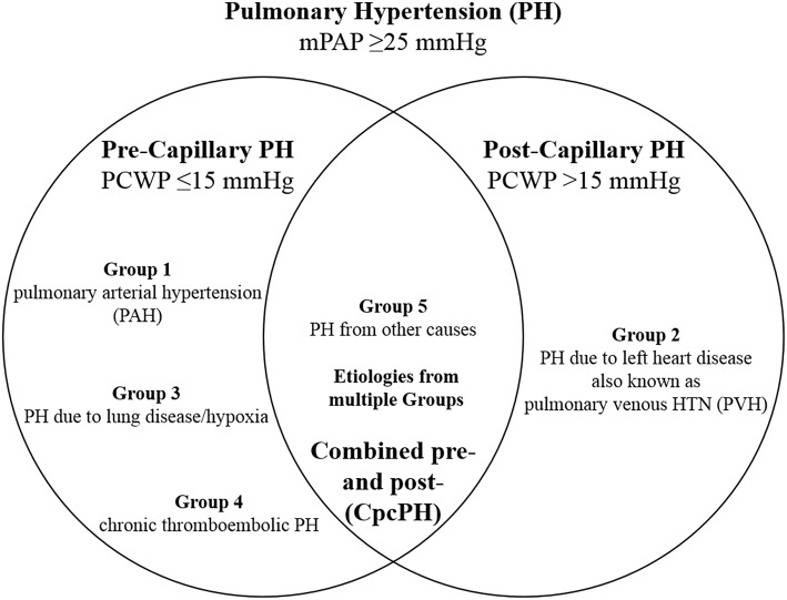 Non-invasive Multimodality Cardiovascular Imaging of the Right Heart and  Pulmonary Circulation in Pulmonary Hypertension. - Abstract - Europe PMC