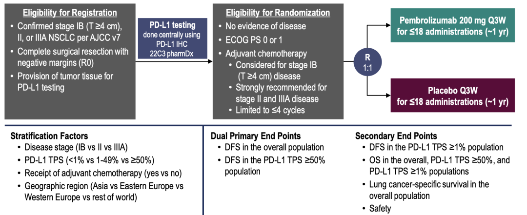 ESMO：帕博利珠单抗降低完全切除、早期非小细胞肺癌24%复发或死亡风险（<font color="red">KEYNOTE</font>-091）