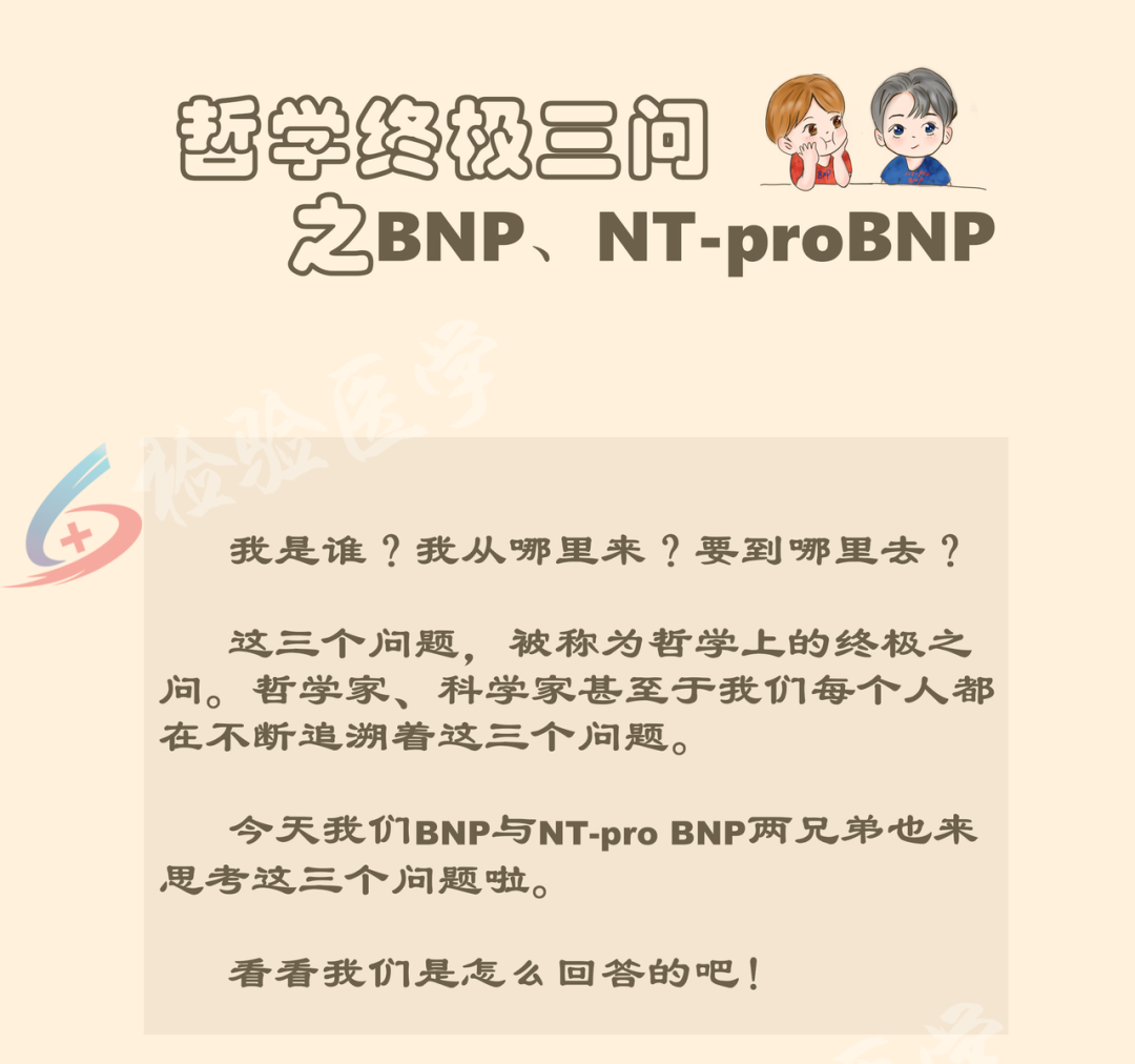 BNP和<font color="red">NT</font>-proBNP分不清？一文轻松掌握！