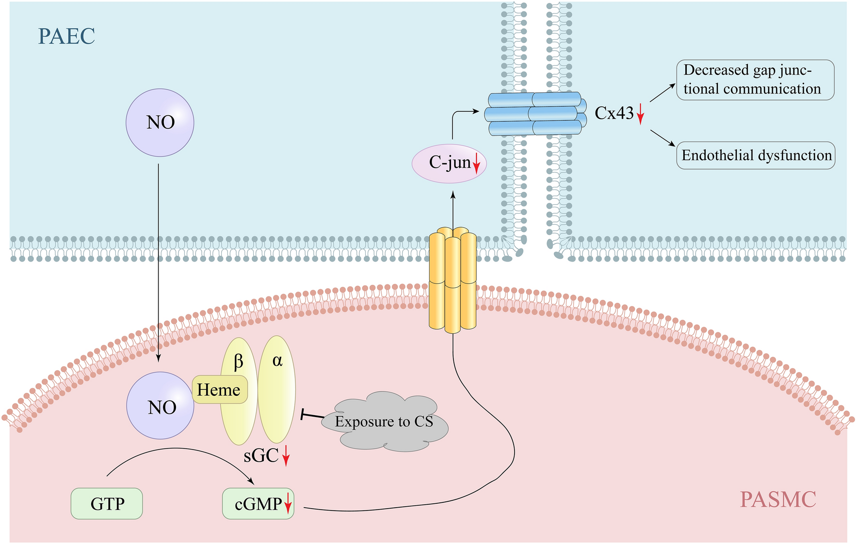 Fig. 3