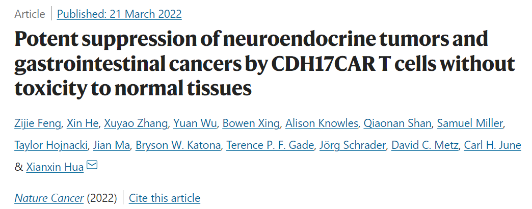 Nature Cancer：CAR-T治疗神经内分泌肿瘤和胃肠间质瘤的安全靶点——CDH17（LI<font color="red">钙粘蛋白</font>）