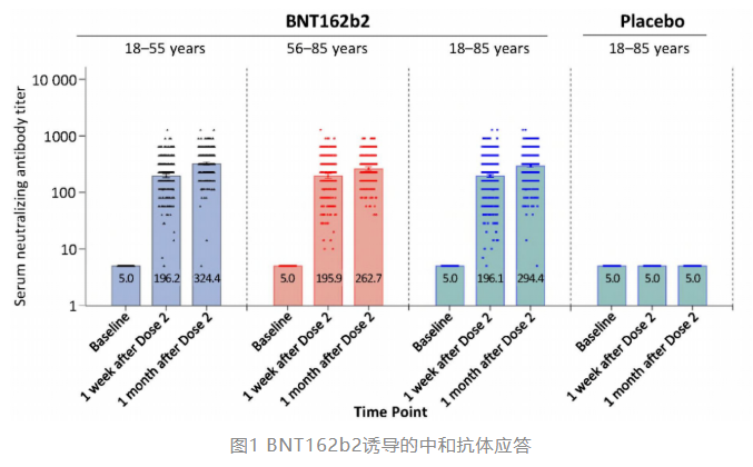 BNT162<font color="red">b</font><font color="red">2</font> mRNA新冠疫苗复必泰<font color="red">2</font>期临床试验结果发布