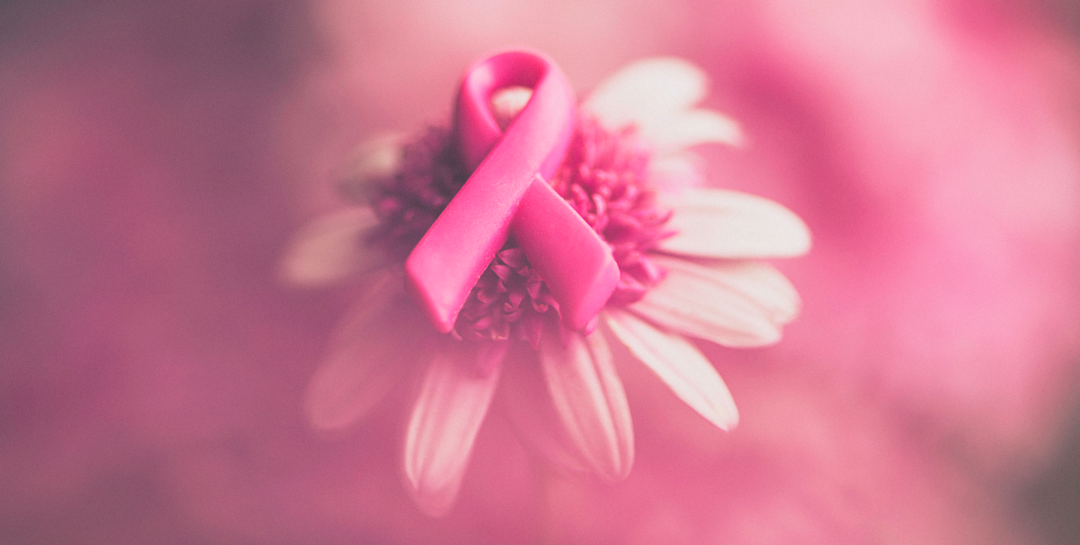 JAMA：二甲双胍面对乳腺癌，没了“神通”！三期临床研究显示，非糖尿病早期乳腺癌患者服用二甲双胍进行辅助治疗，无法改善生存