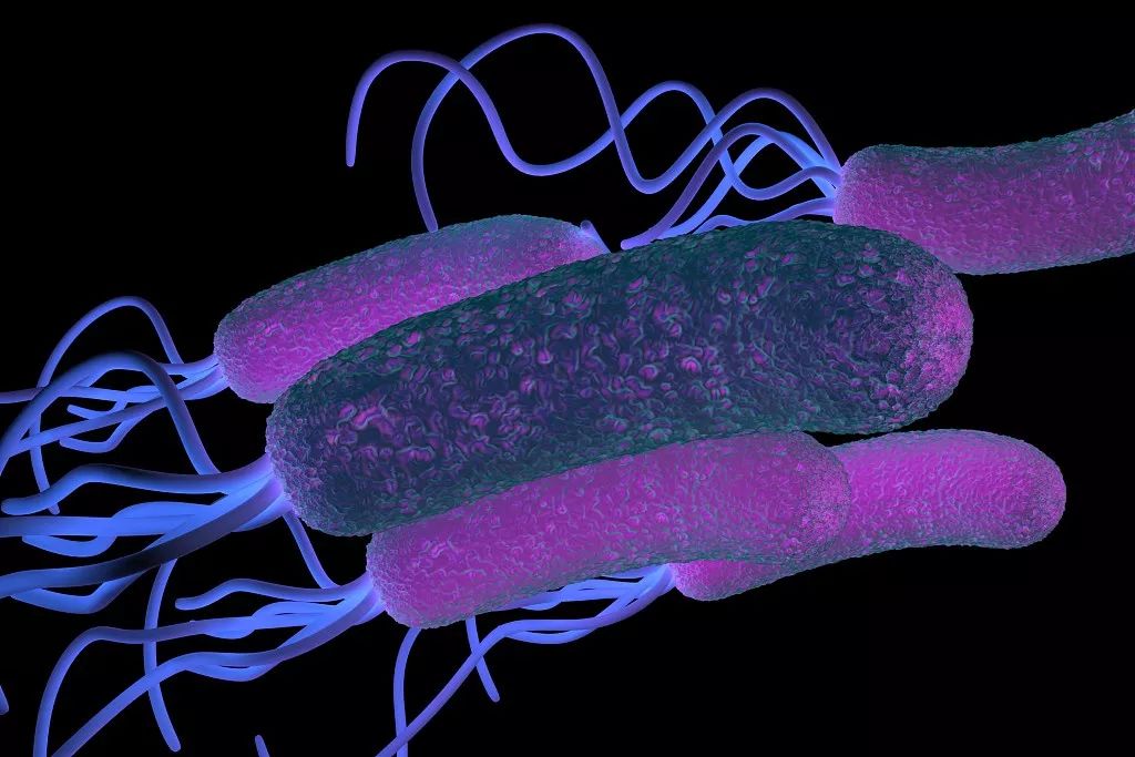 幽门螺杆菌治疗期间，这8个问题要注意，否则可能会杀菌失败！