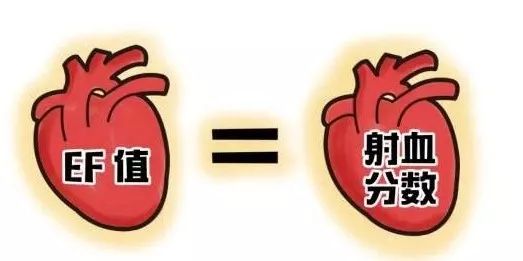 不能理解心脏射血分数吗？一篇课文很容易掌握！