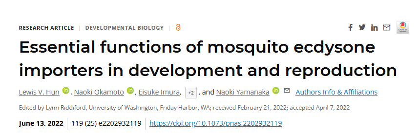 新型灭蚊策略使蚊子永远无法性<font color="red">成熟</font>！让其断子绝孙