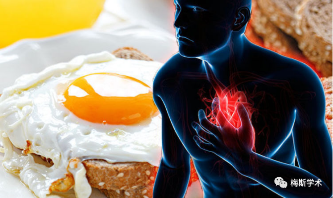 北京大学团队研究显示：每天吃一个鸡蛋，可降低心血管风险！