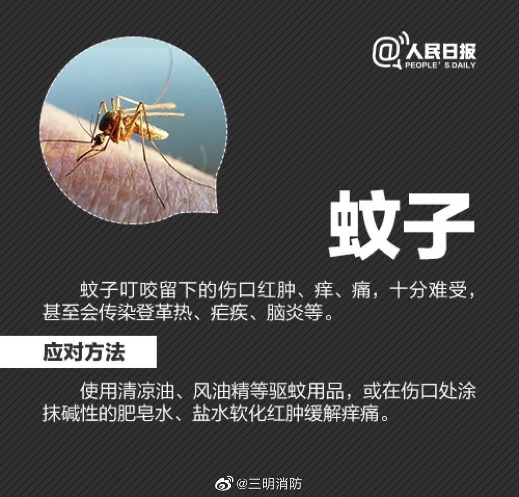 被蚊子叮咬后起水疱患虫咬性皮炎，关于防蚊你必须知道的3件事
