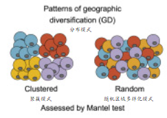 Cell Genomics：肺腺癌腫瘤內(nèi)異質(zhì)性模式與肺癌患者生存率的關(guān)系