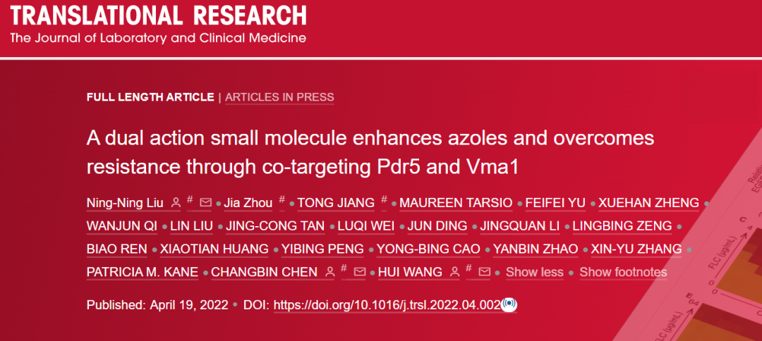 Transl Res：王慧和刘宁宁团队发现靶向抗癌药物能<font color="red">增强</font>抗真菌作用