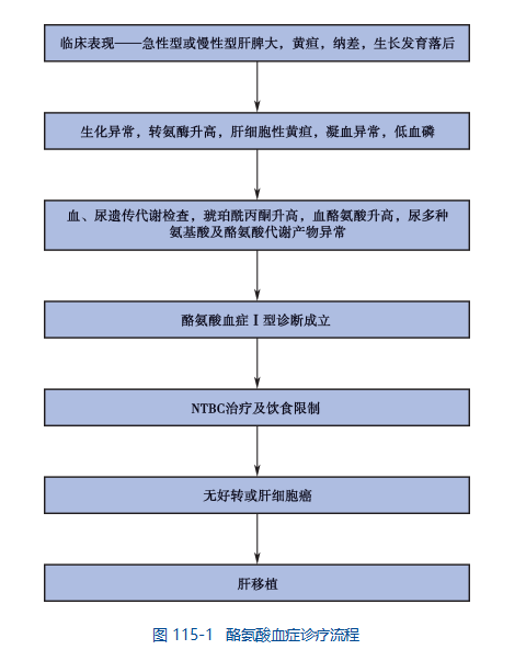 <font color="red">酪氨酸</font><font color="red">血</font><font color="red">症</font>Ⅰ<font color="red">型</font>：症状与体征、病因、流行病学、诊断和治疗