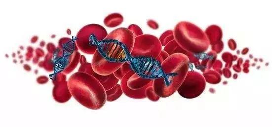 先天性纯红细胞再生障碍性贫血：症状与体征、病因、流行病学、诊断与治疗