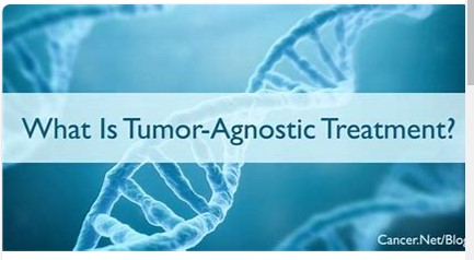 肿瘤类型无关治疗（tumor agnostic treatment）