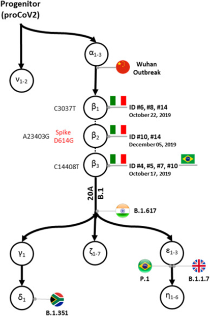 Environ Res：基因测序显示武汉爆发之前，新冠病毒早已在全球传播！