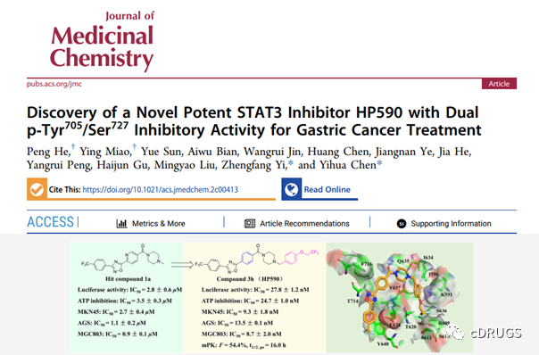 JMC：新型STAT3抑制剂HP590，口服对<font color="red">胃癌</font>有效