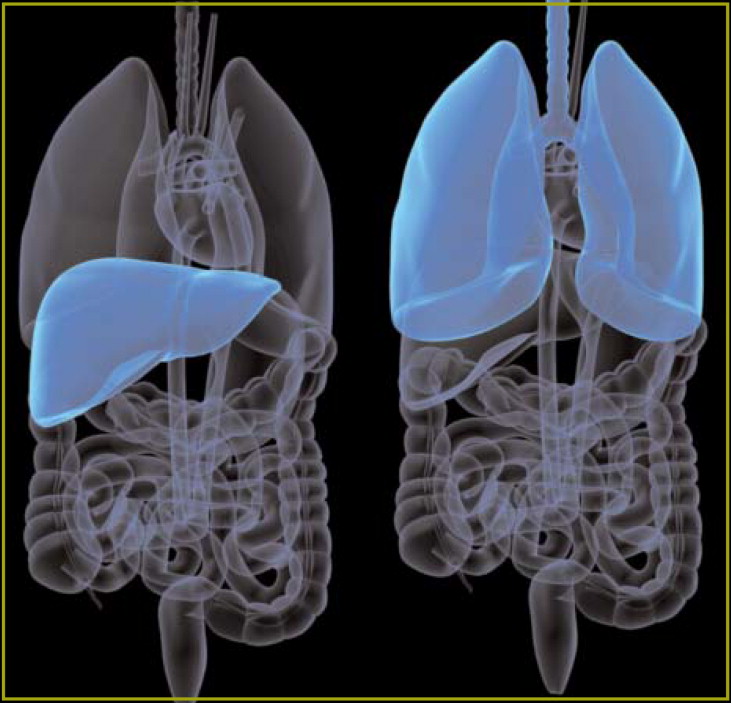 肝移植后的肺动脉高压实践模式