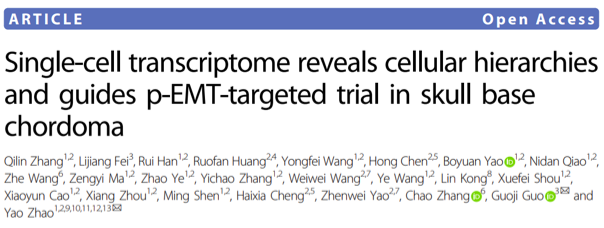 Cell Discov：华山医院赵曜团队和浙大郭国骥团队合作，发现难治颅内脊索瘤靶向治疗新药