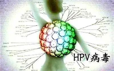 HPV病原学分<font color="red">型</font>及临床应用