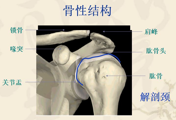 肩关节常见损伤的影像诊断要点：肩袖损伤、腱鞘炎、肩关节不稳...