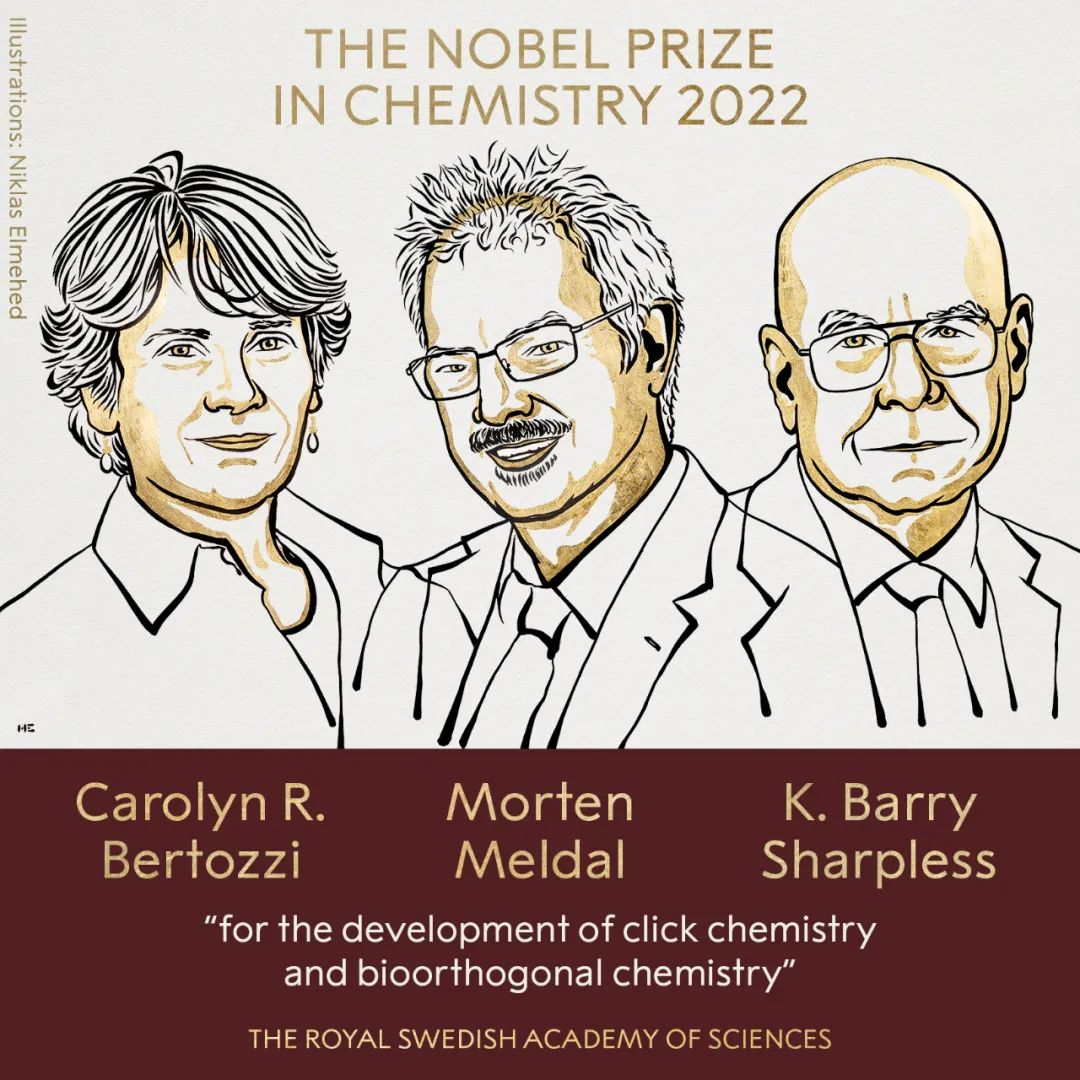 三位点击化学和正交化学家获2022年诺贝尔化学奖！