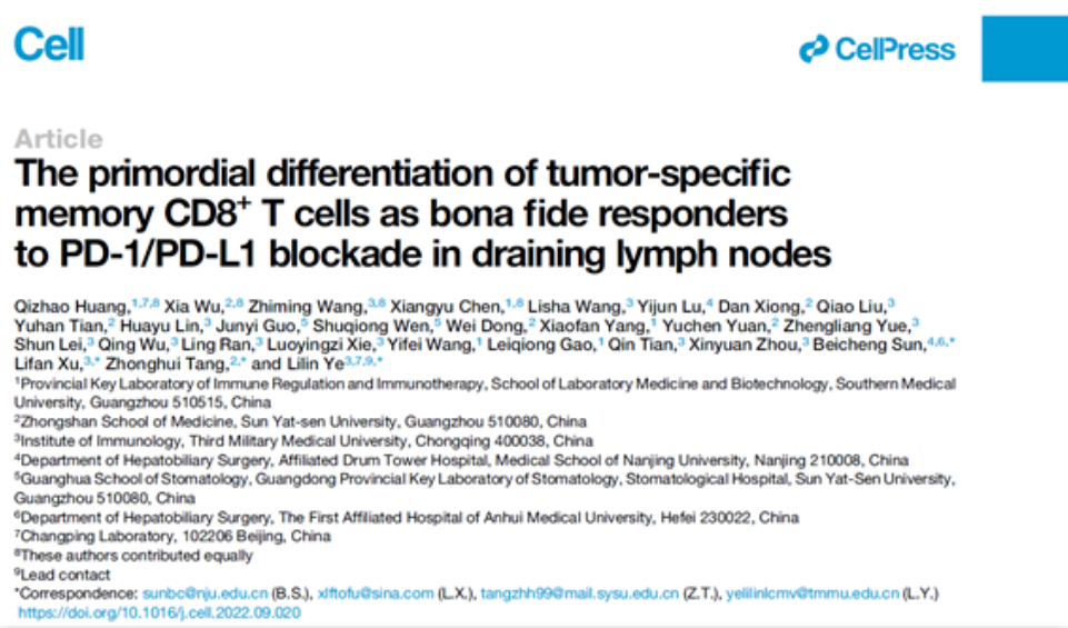 Cell：<font color="red">陆军</font>军医大学发现在肿瘤引流淋巴结中存在肿瘤抗原特异性的记忆CD8+T细胞
