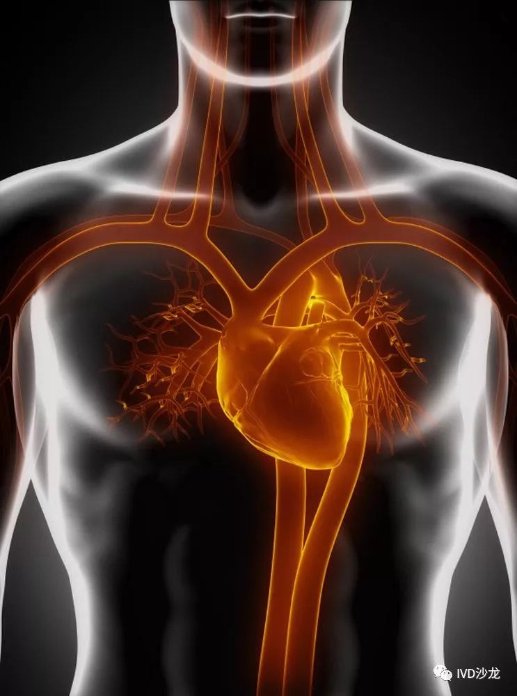 心肌肌钙蛋白I（<font color="red">cTnI</font>）与心脏疾病诊断