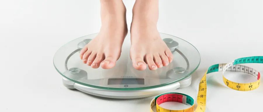 Science：减肥揭秘了！白天活跃阶段限时进食可增加脂肪细胞产热减肥