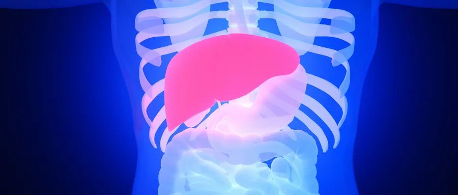 重磅级文章解读：科学家们在肝癌研究领域取得的新成果！