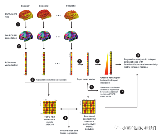 Ann Neurol：阿尔茨海默病的病理扩散<font color="red">与</font>激活小胶质细胞的相关性