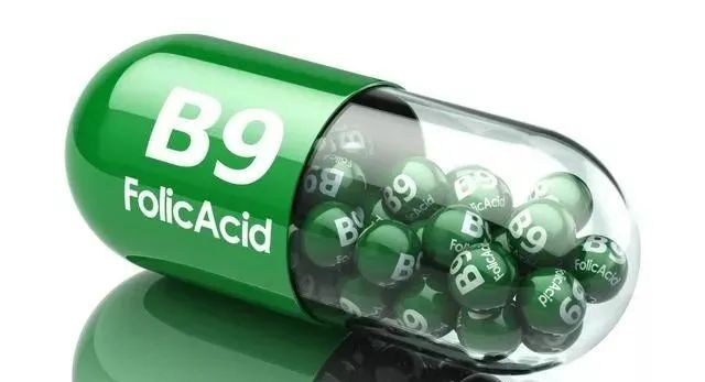 叶酸和维生素B12，可用于慢性萎缩性胃炎的治疗