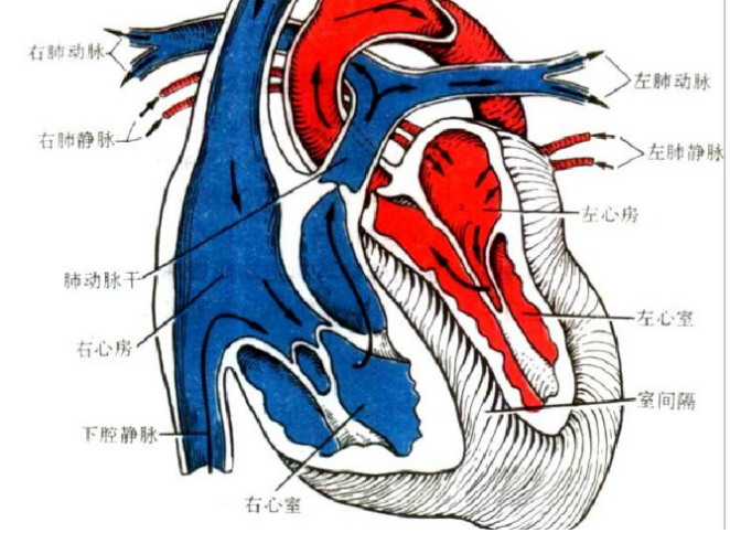 心<font color="red">超</font>：各種切面各種圖