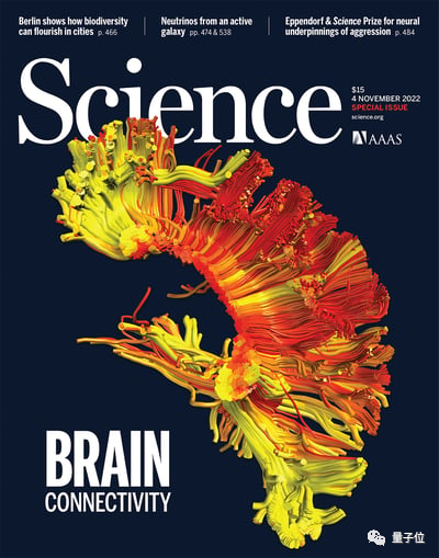 大脑分区不是功能关键！Science封面4文连发：智慧从脑区间连接中诞生