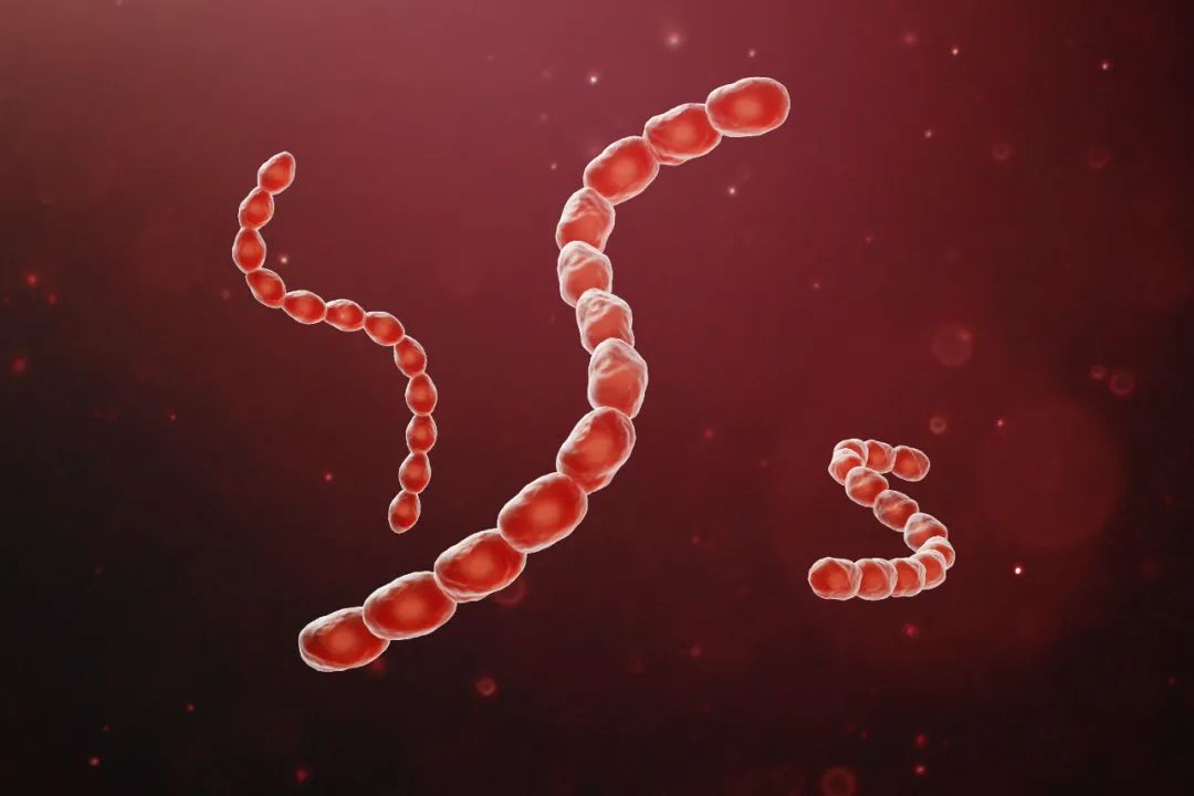 <font color="red">感染</font>链球菌竟有可能导致银屑病？