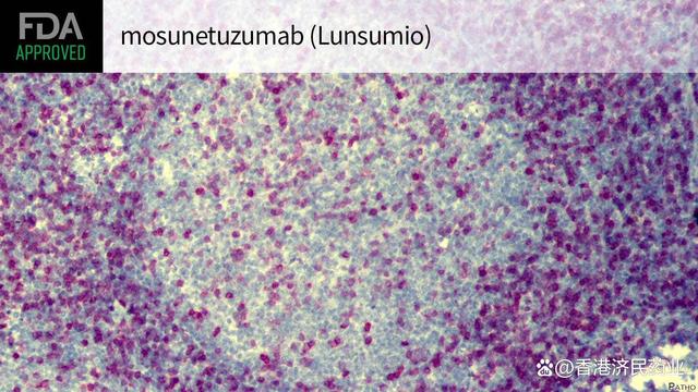 FDA批准首个用于R/R滤泡<font color="red">性</font><font color="red">淋巴瘤</font>的双特异性抗体mosunetuzumab（Lunsumio）上市