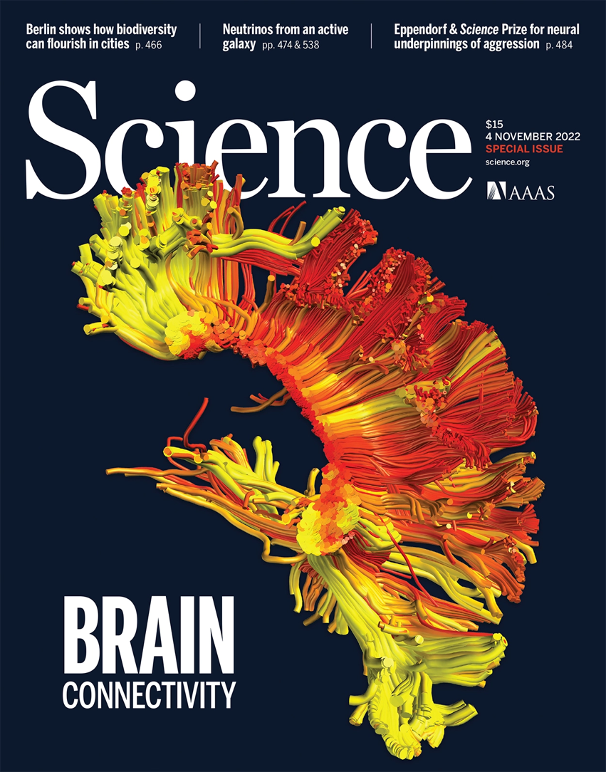 <font color="red">Science</font>重磅特刊：没有一个神经元是孤岛”4篇<font color="red">综述</font>揭示大脑连接的重要意义