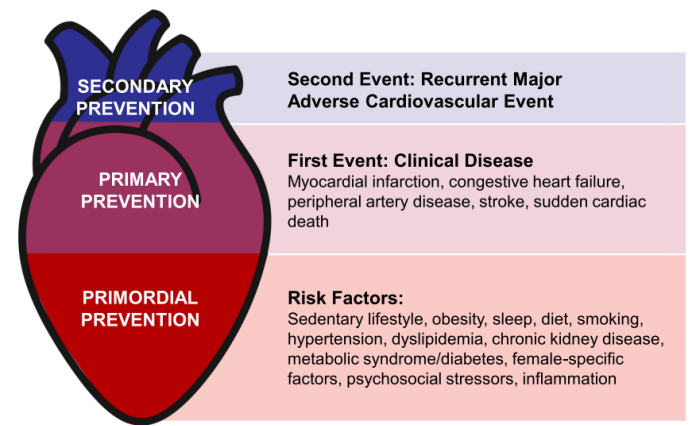 什么是<font color="red">预防</font>心脏病学？内涵是什么？
