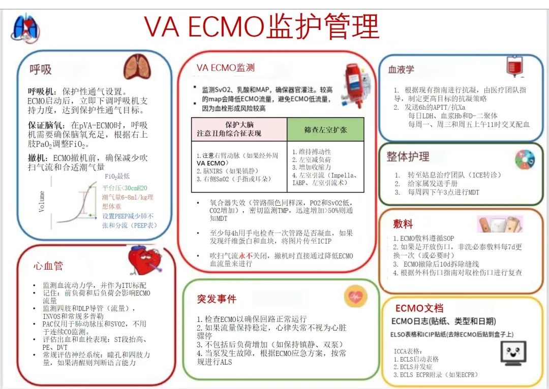 VA-ECMO的监护管理