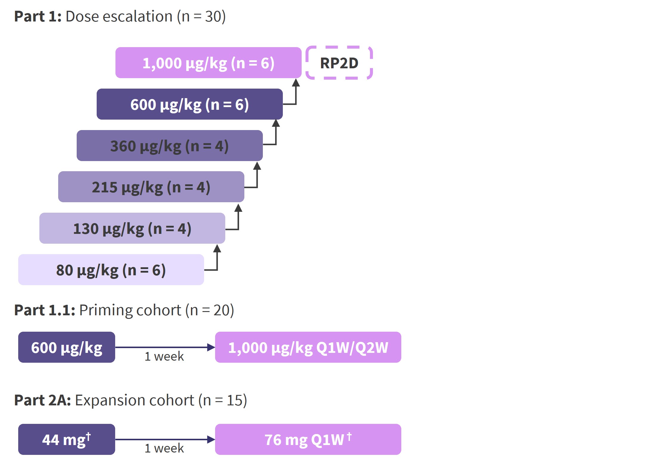 ASH 2022：辉瑞CD3/BCMA双抗Elranatamab治疗RRMM结果公布