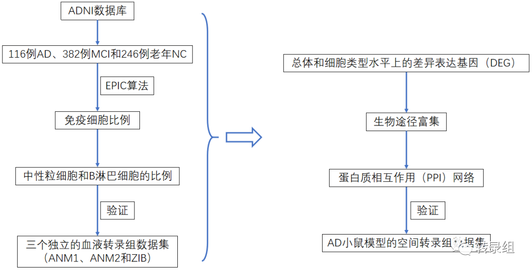 BMC Med：阿尔茨海默症病患者外周血的<font color="red">细胞</font>转录改变