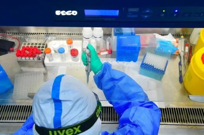PCR实验室核酸检测的常见问题及异常结果分析