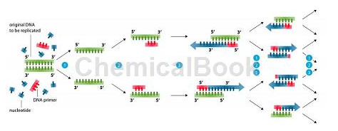 荧光PCR增强剂及抗抑制作用